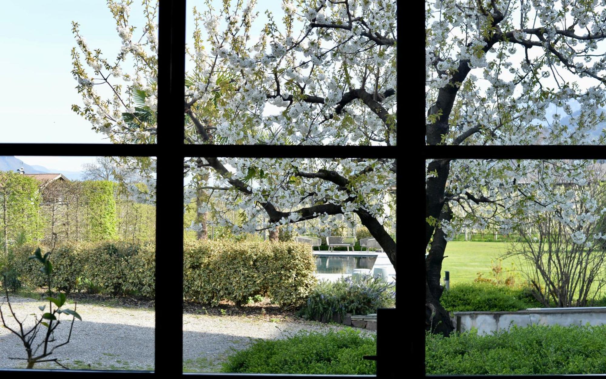Haus Wiesenstein Lana Exteriér fotografie