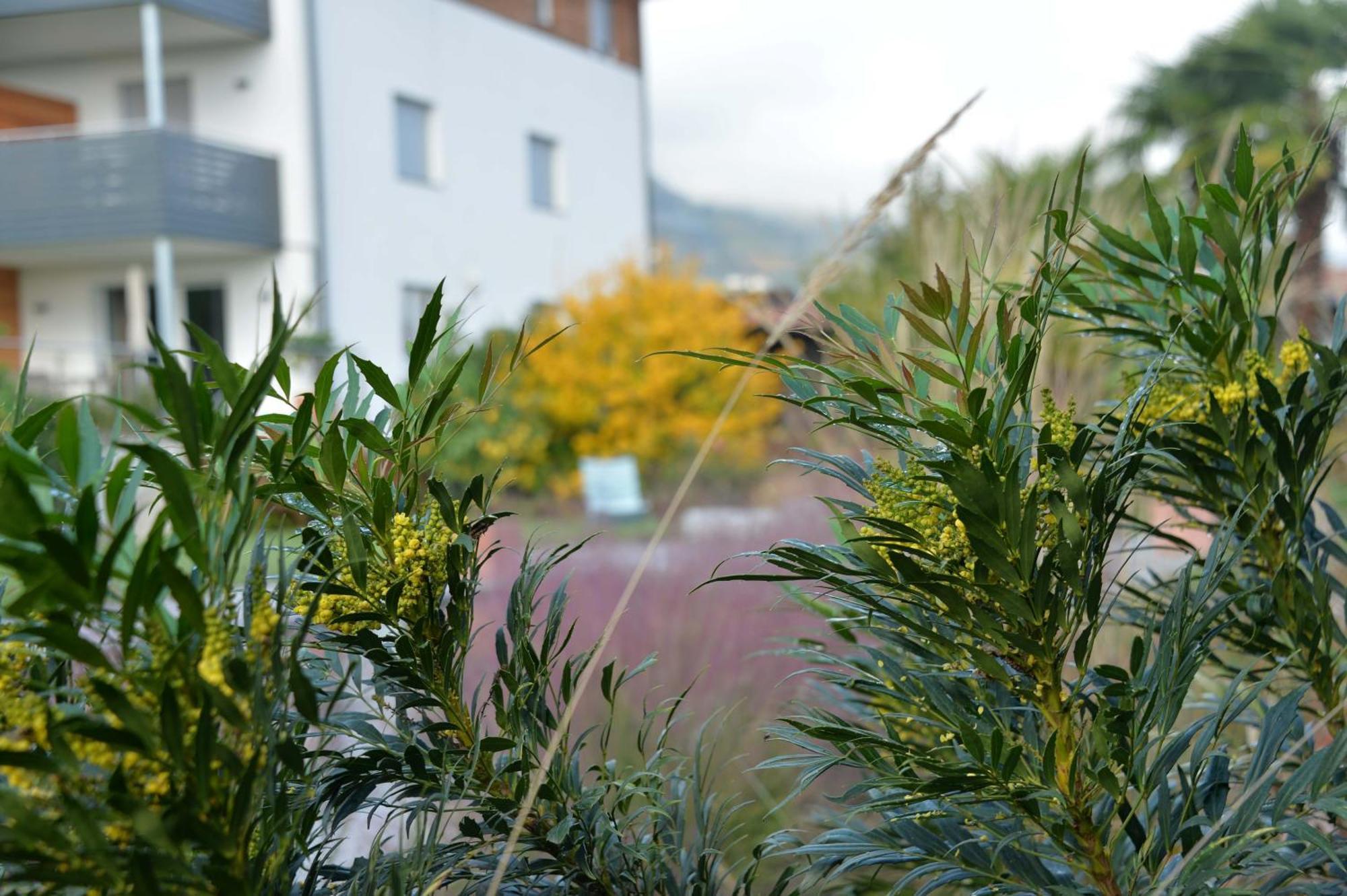Haus Wiesenstein Lana Exteriér fotografie